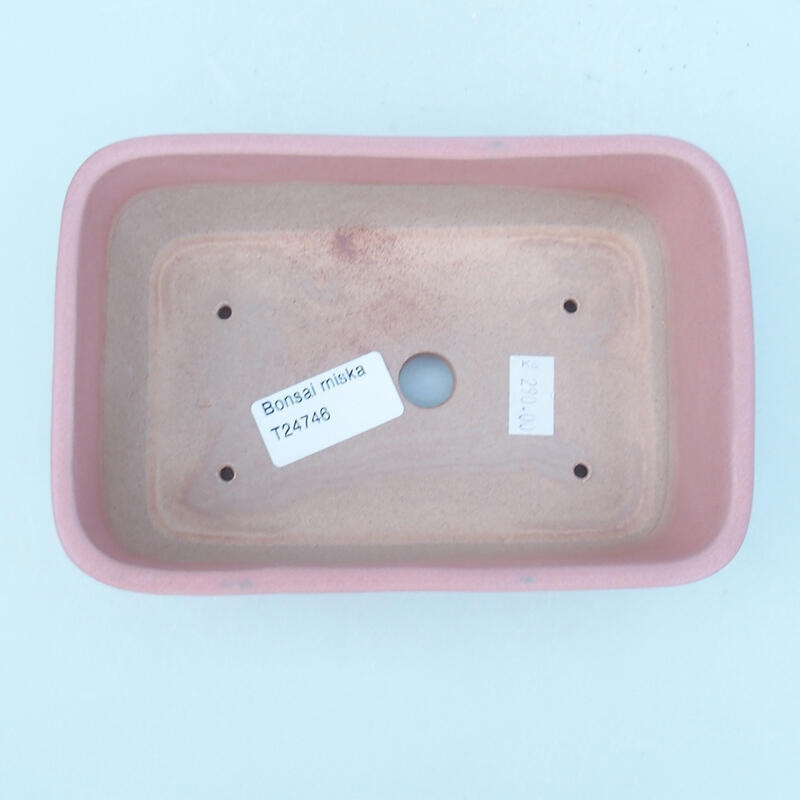Ciotola bonsai in ceramica 16 x 11 x 5,5 cm, rosa