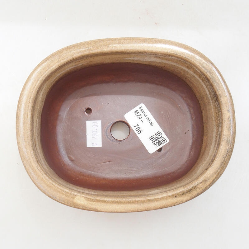 Ciotola per bonsai in ceramica 16 x 12,5 x 6 cm, colore beige