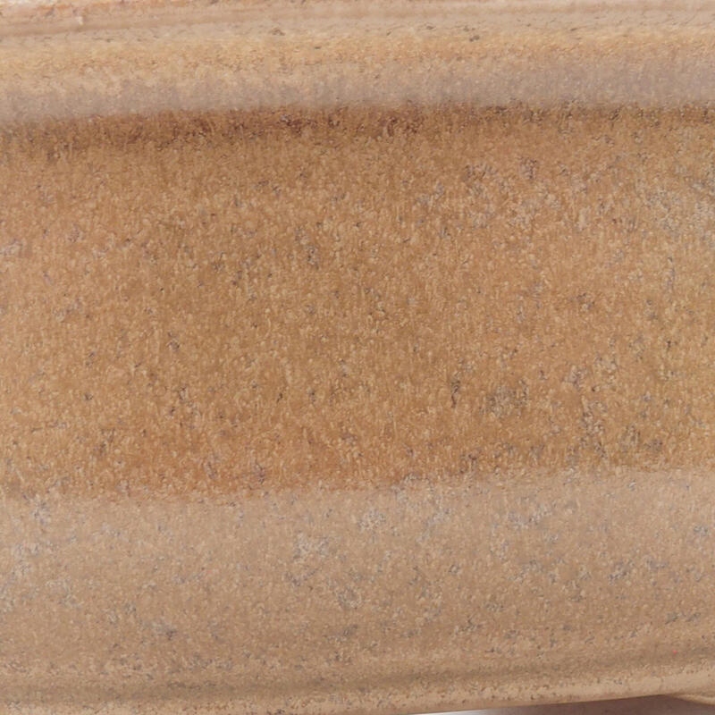 Ciotola per bonsai in ceramica 16 x 12,5 x 6 cm, colore beige