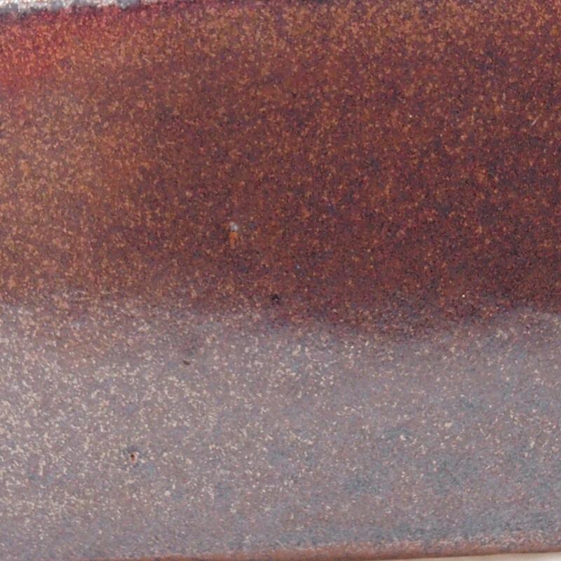 Ciotola per bonsai in ceramica 16 x 13 x 4,5 cm, marrone