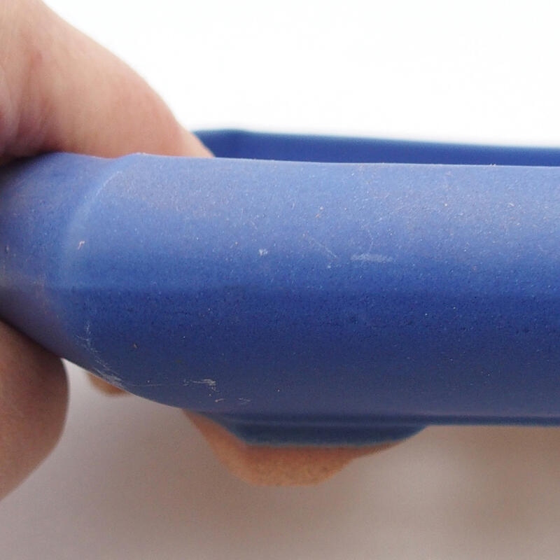 Ciotola bonsai in ceramica 16 x 14 x 3 cm, colore blu