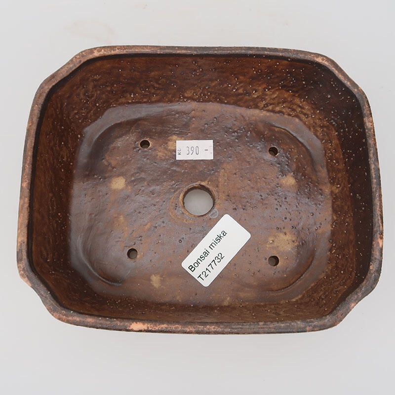 Ciotola per bonsai in ceramica 17,5 x 14,5 x 5,5 cm, marrone