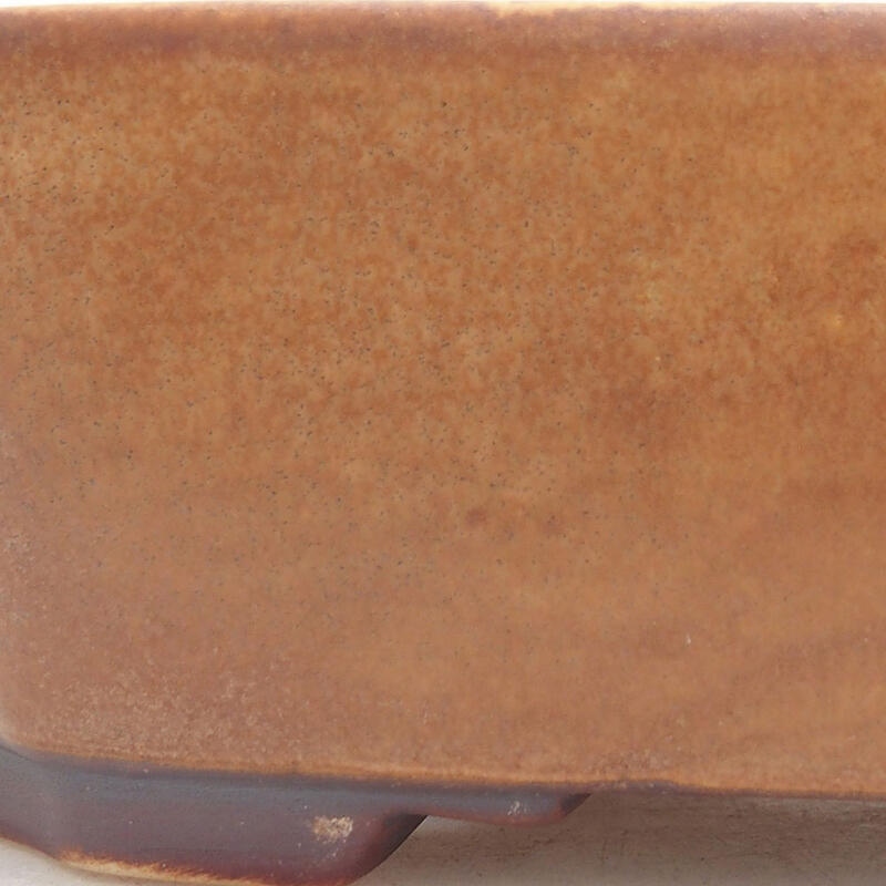 Ciotola per bonsai in ceramica 17,5 x 14,5 x 5,5 cm, marrone