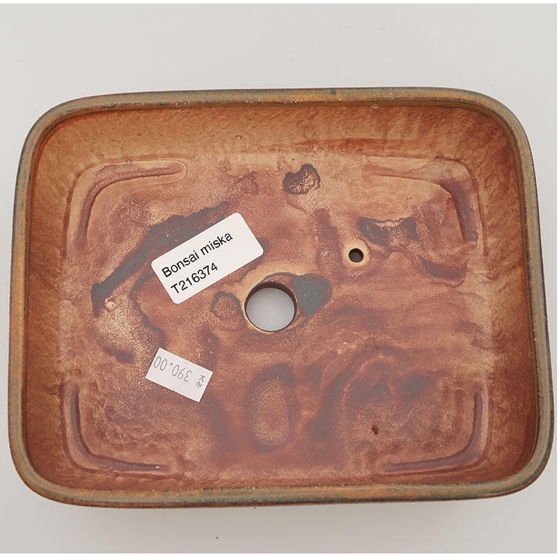 Ciotola per bonsai in ceramica 17,5 x 14 x 4,5 cm, marrone