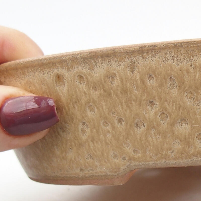 Ciotola per bonsai in ceramica 17,5 x 14 x 4 cm, colore beige