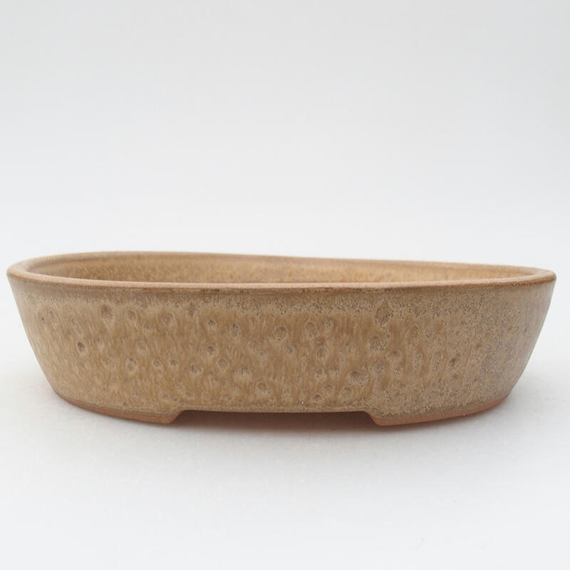 Ciotola per bonsai in ceramica 17,5 x 14 x 4 cm, colore beige