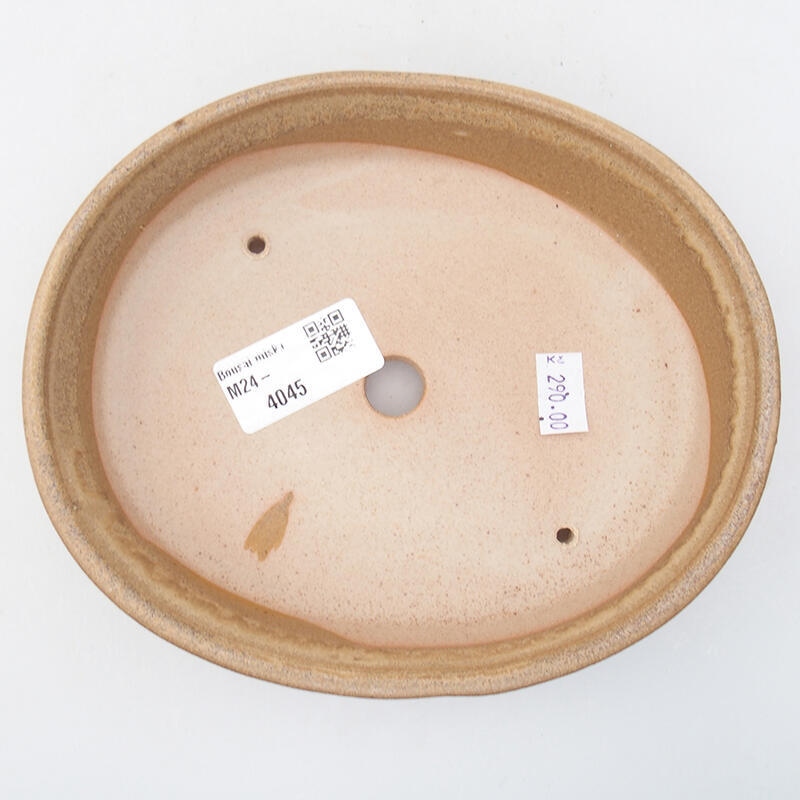 Ciotola per bonsai in ceramica 17,5 x 14 x 4 cm, colore beige