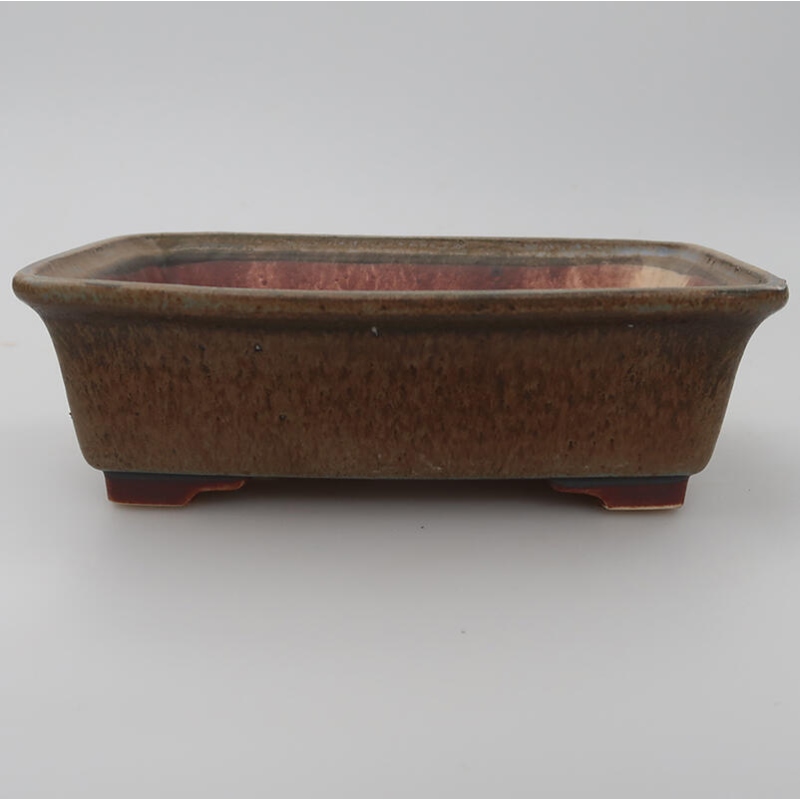 Ciotola bonsai in ceramica 17,5 x 14 x 5,5 cm, colore blu