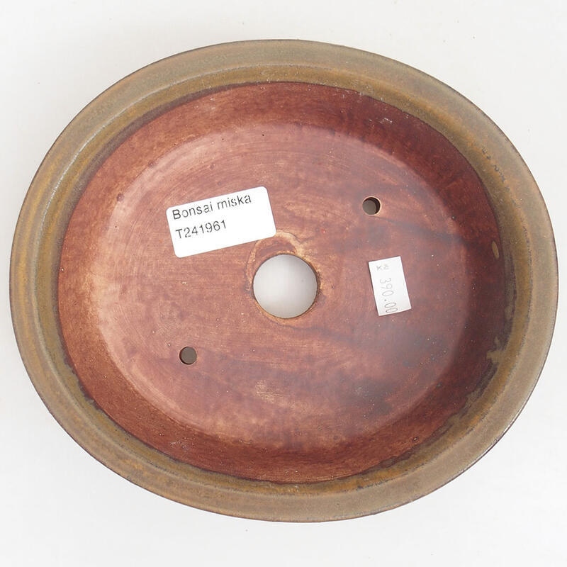 Ciotola per bonsai in ceramica 17,5 x 16 x 4,5 cm, marrone