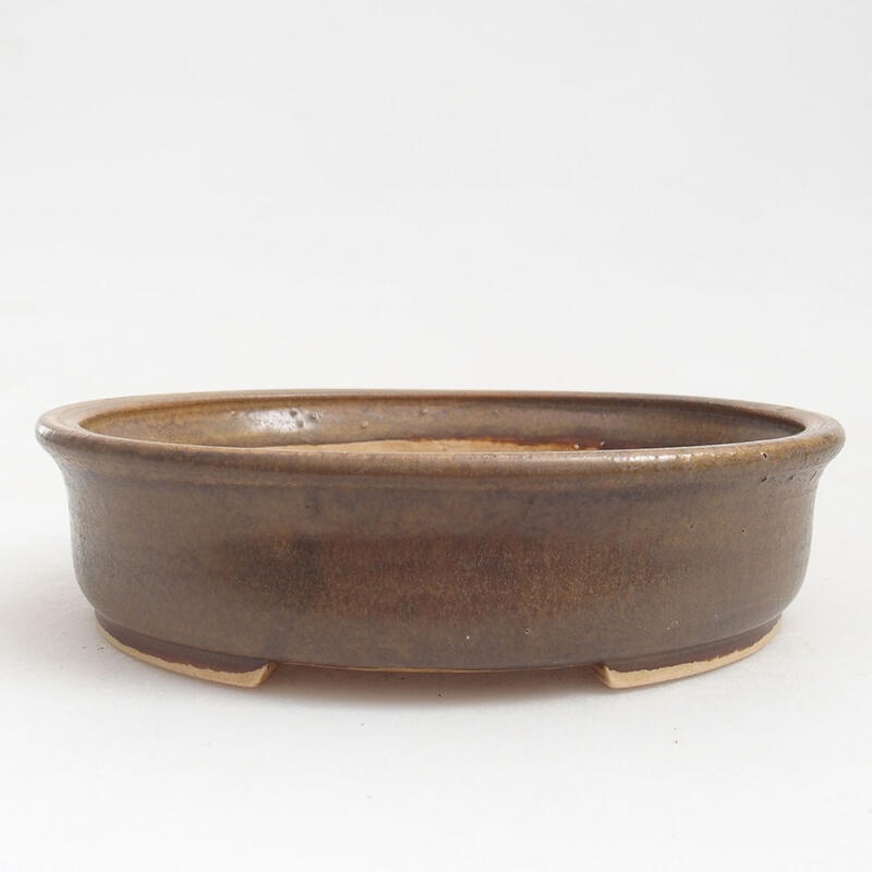 Ciotola per bonsai in ceramica 17,5 x 16 x 4,5 cm, marrone
