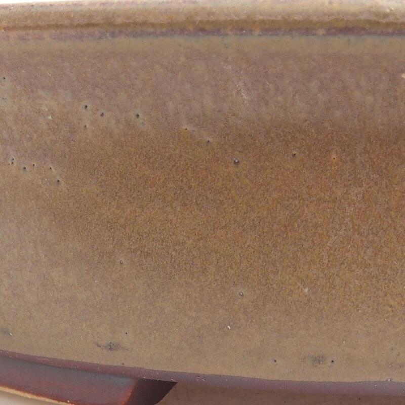 Ciotola per bonsai in ceramica 17,5 x 16 x 4,5 cm, marrone