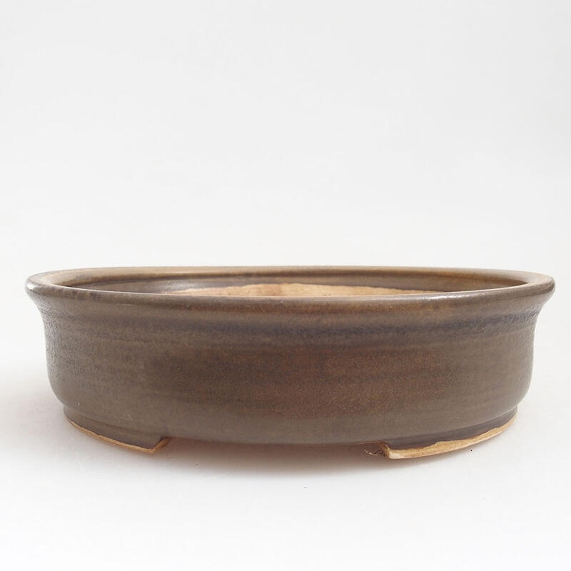 Ciotola per bonsai in ceramica 17,5 x 16 x 4,5 cm, marrone