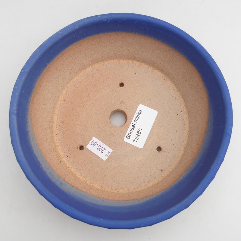 Ciotola bonsai in ceramica 17,5 x 17,5 x 5 cm, colore blu
