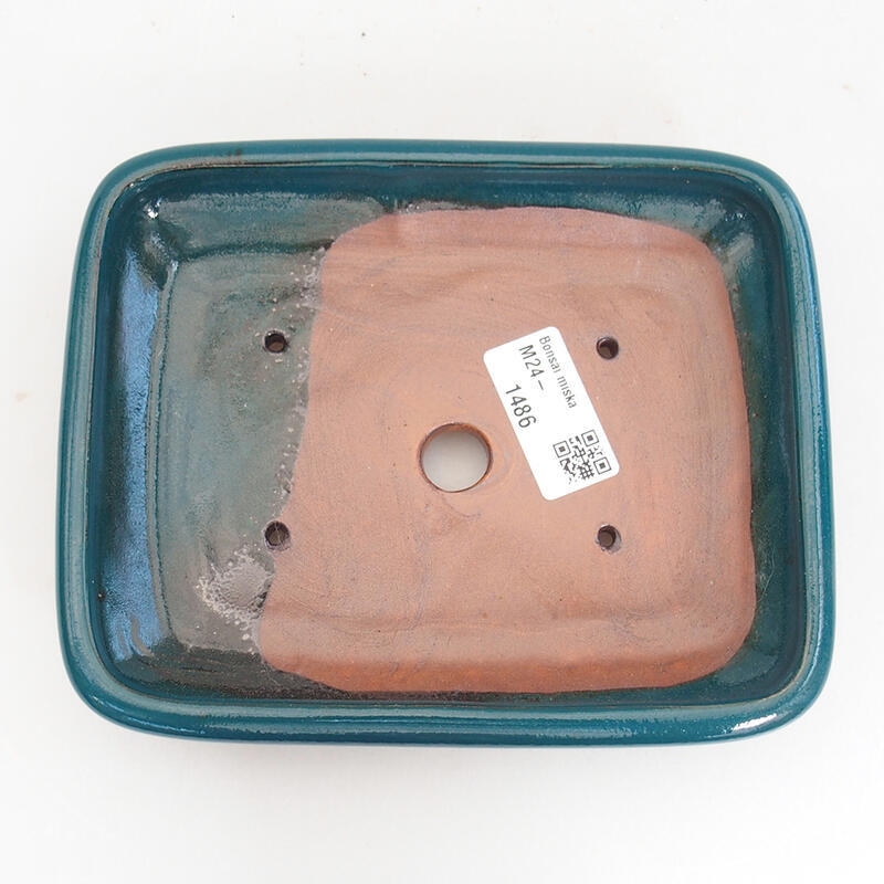 Ciotola bonsai in ceramica 17 x 13,5 x 3,5 cm, verde