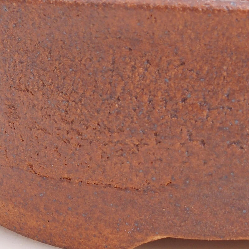 Ciotola per bonsai in ceramica 17 x 13,5 x 5 cm, marrone