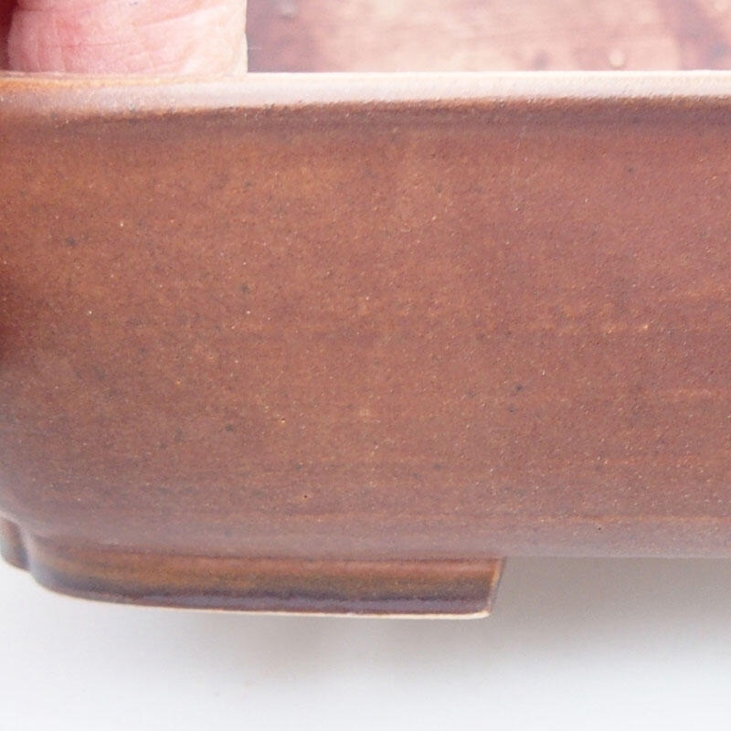 Ciotola per bonsai in ceramica 17 x 13 x 4,5 cm, marrone