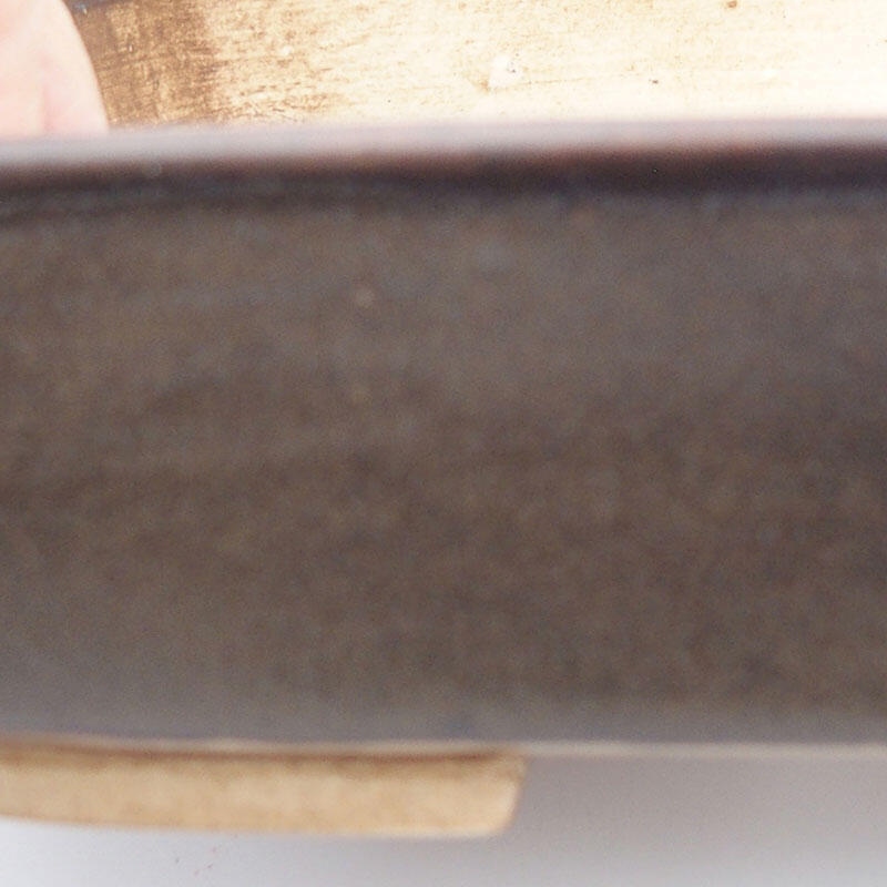 Ciotola bonsai in ceramica 17 x 13 x 4,5 cm, marrone
