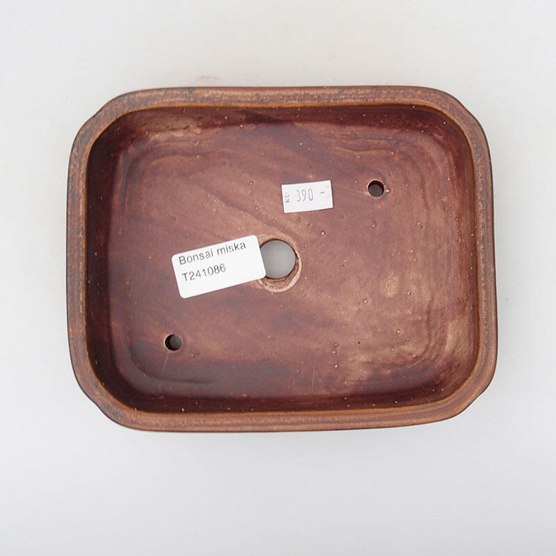 Ciotola per bonsai in ceramica 17 x 13 x 4,5 cm, marrone