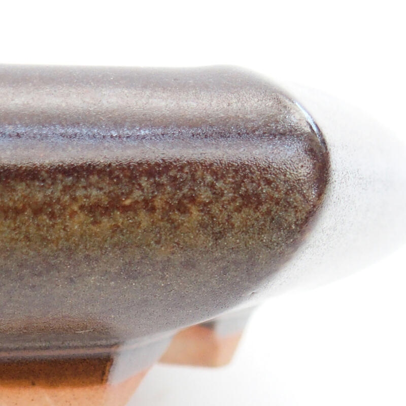 Ciotola bonsai in ceramica 17 x 14 x 3,5 cm, marrone