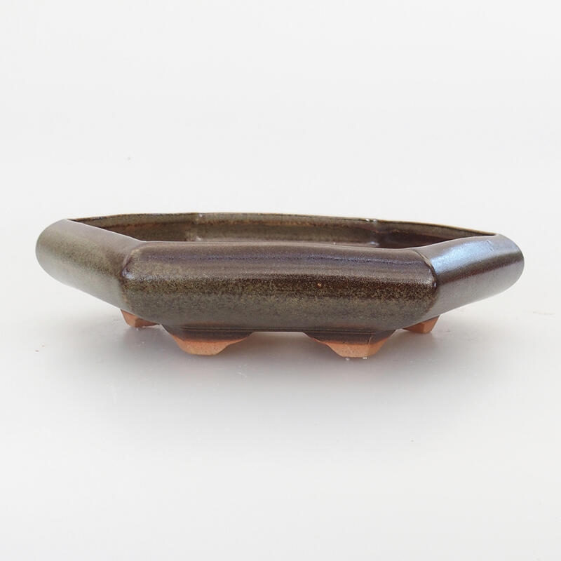 Ciotola bonsai in ceramica 17 x 14 x 3,5 cm, marrone