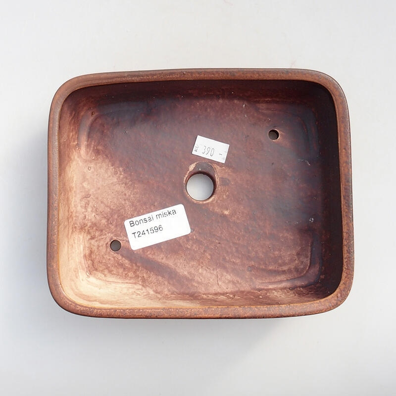 Ciotola bonsai in ceramica 17 x 14 x 4,5 cm, marrone