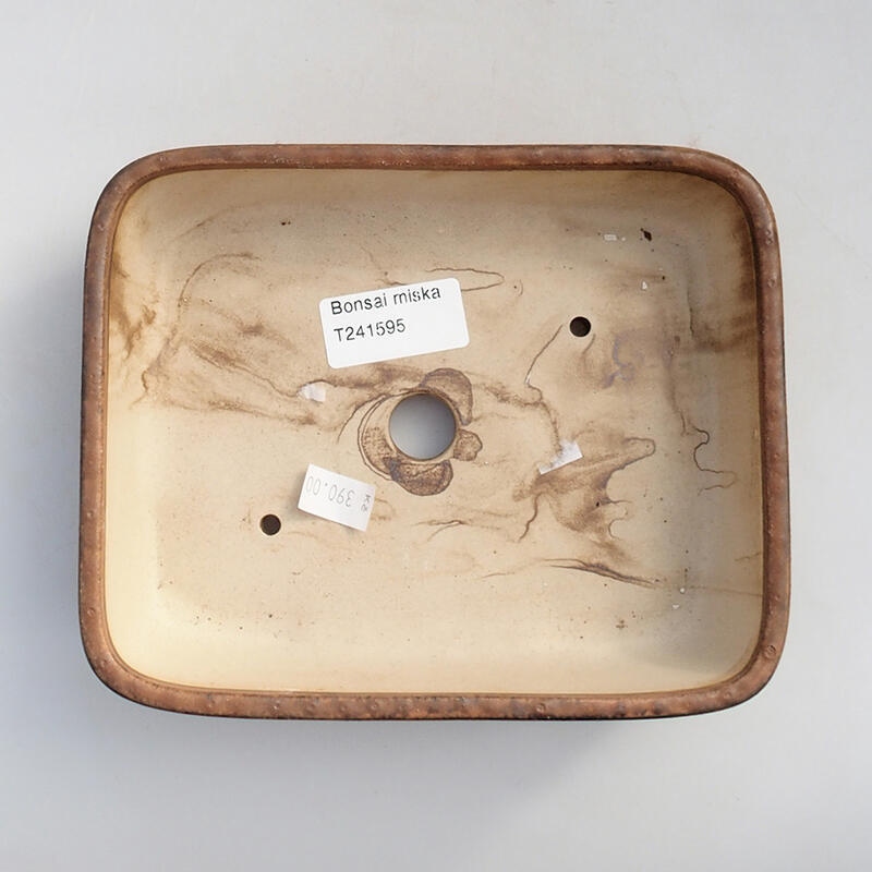 Ciotola bonsai in ceramica 17 x 14 x 4,5 cm, marrone