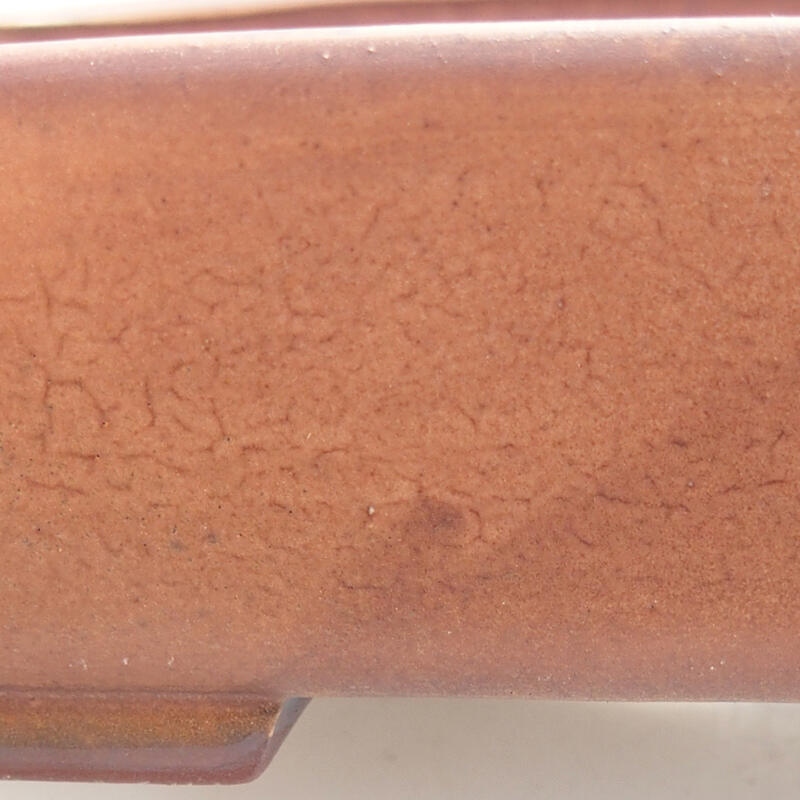 Ciotola bonsai in ceramica 17 x 14 x 4,5 cm, marrone