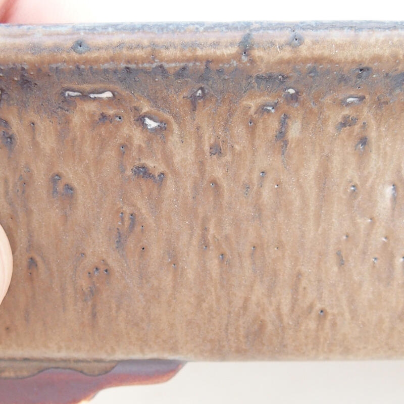 Ciotola per bonsai in ceramica 17 x 14 x 5,5 cm, marrone