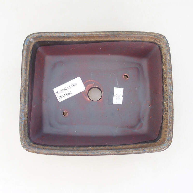 Ciotola per bonsai in ceramica 17 x 14 x 5,5 cm, marrone