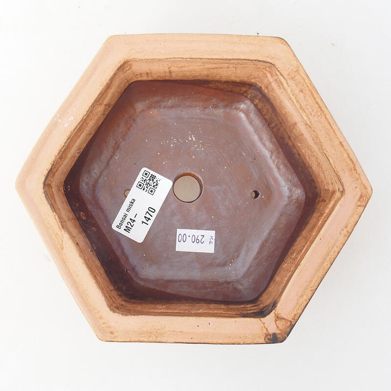 Ciotola bonsai in ceramica 17 x 15 x 6 cm, rosa