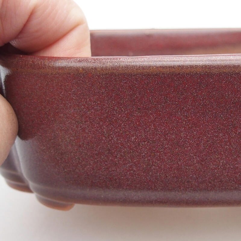 Ciotola per bonsai in ceramica 18,5 x 13,5 x 5 cm, marrone