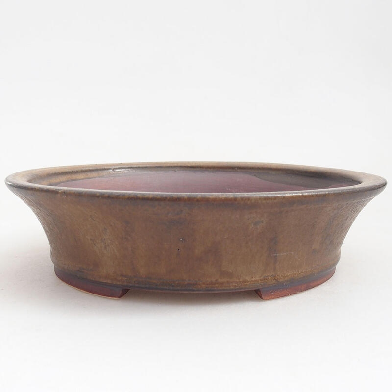 Ciotola per bonsai in ceramica 18,5 x 17 x 4,5 cm, marrone