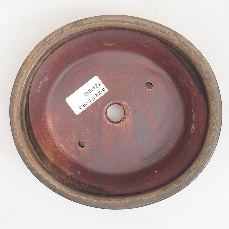 Ciotola per bonsai in ceramica 18,5 x 17 x 4,5 cm, marrone