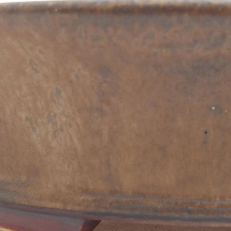 Ciotola per bonsai in ceramica 18,5 x 17 x 4,5 cm, marrone