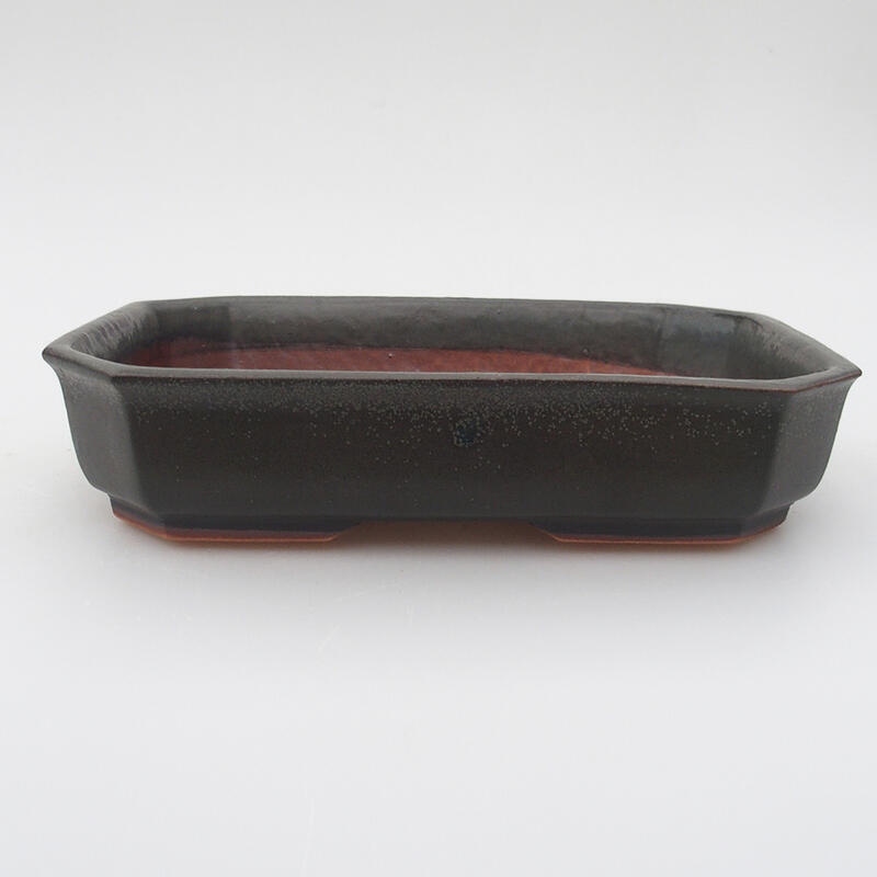 Ciotola bonsai in ceramica 18 x 13,5 x 4 cm, grigio