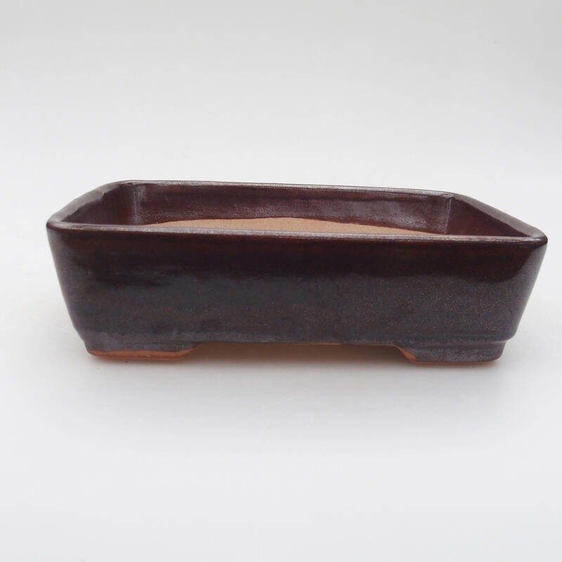 Ciotola per bonsai in ceramica 18 x 13 x 4,5 cm, marrone