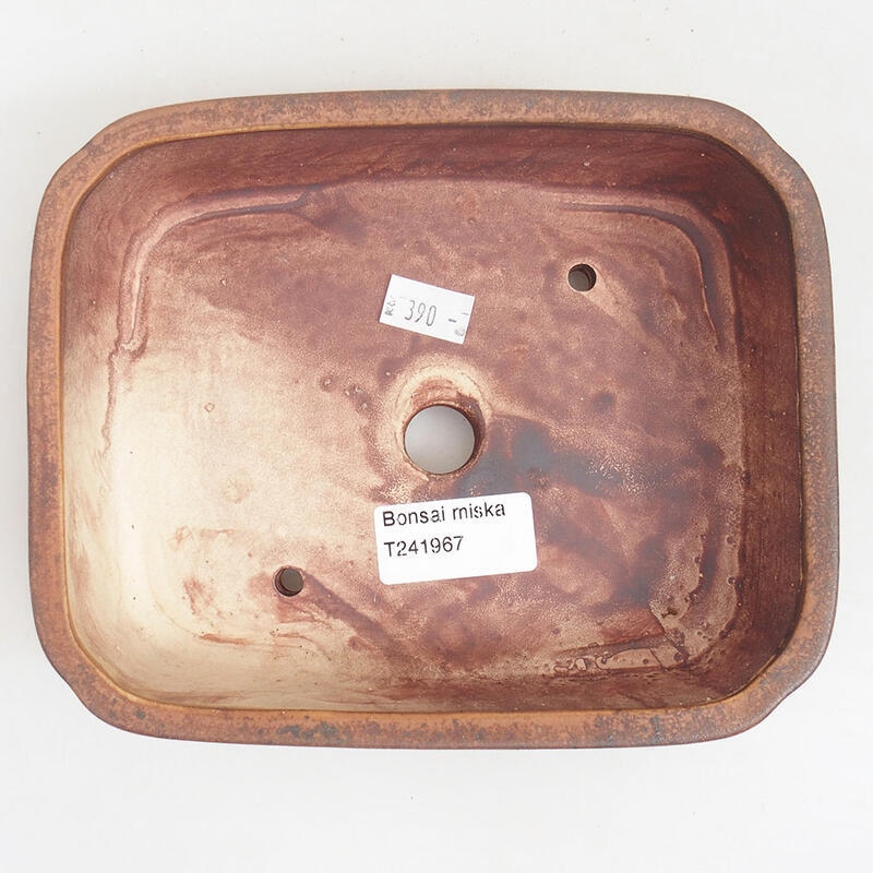 Ciotola per bonsai in ceramica 18 x 14,5 x 4,5 cm, marrone
