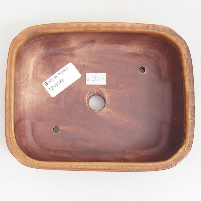 Ciotola per bonsai in ceramica 18 x 14,5 x 4,5 cm, marrone