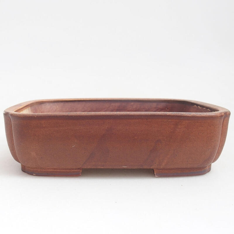 Ciotola per bonsai in ceramica 18 x 14,5 x 4,5 cm, marrone