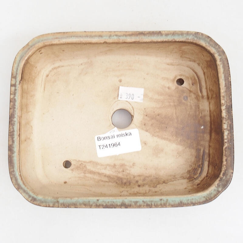 Ciotola bonsai in ceramica 18 x 14,5 x 4,5 cm, verde
