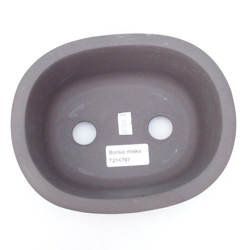 Ciotola per bonsai in ceramica 18 x 14,5 x 7 cm, colore nero