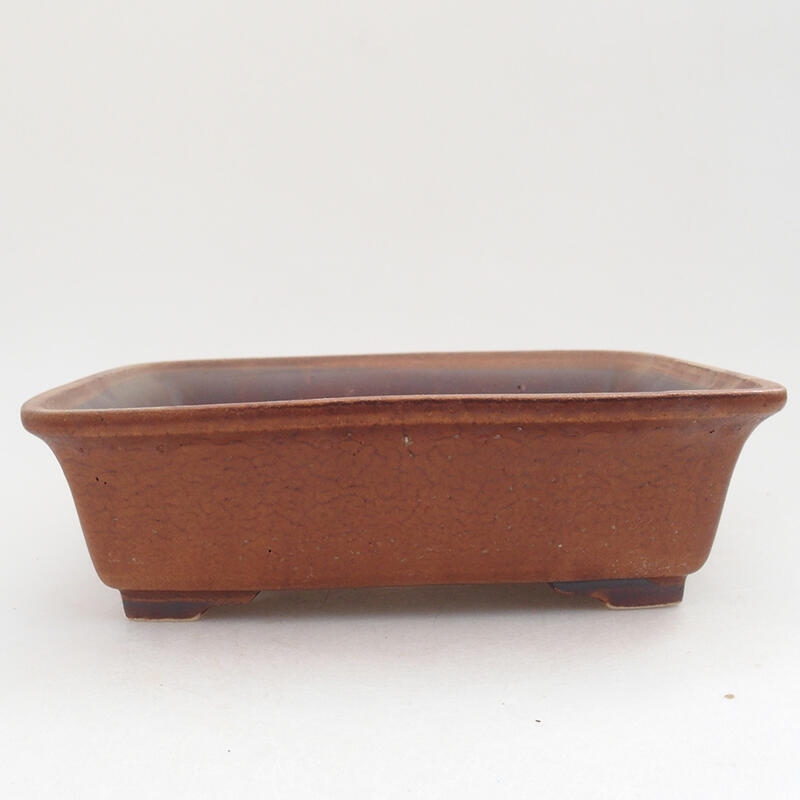 Ciotola per bonsai in ceramica 18 x 14 x 5,5 cm, marrone