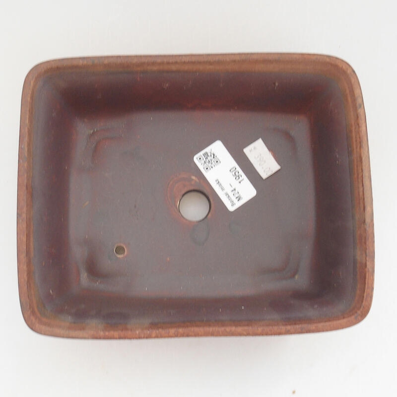 Ciotola per bonsai in ceramica 18 x 14 x 5,5 cm, marrone
