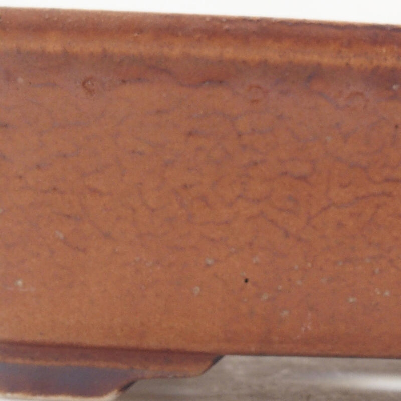 Ciotola per bonsai in ceramica 18 x 14 x 5,5 cm, marrone