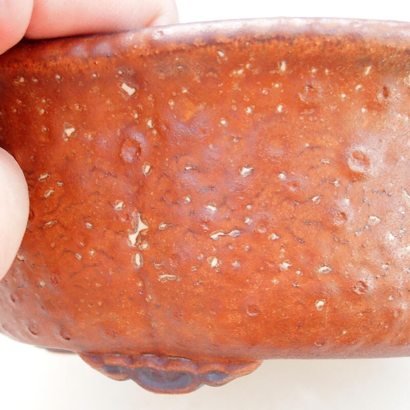 Ciotola per bonsai in ceramica 18 x 16,5 x 6,5 cm, marrone