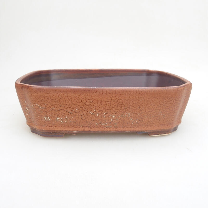 Ciotola per bonsai in ceramica 20,5 x 17,5 x 6 cm, marrone