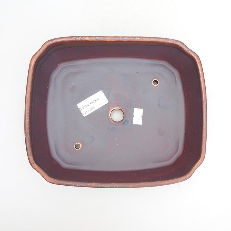 Ciotola per bonsai in ceramica 20,5 x 17,5 x 6 cm, marrone