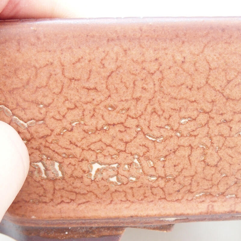 Ciotola per bonsai in ceramica 20,5 x 17,5 x 6 cm, marrone