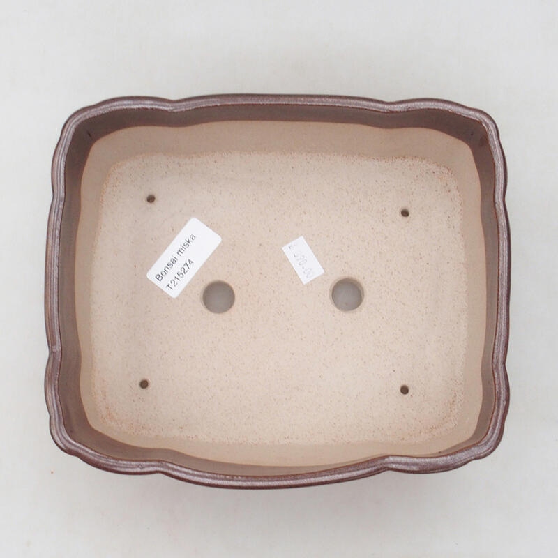 Ciotola per bonsai in ceramica 20,5 x 17,5 x 7 cm, marrone