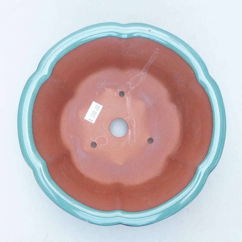 Ciotola per bonsai in ceramica 20 x 20 x 6,5 cm, verde